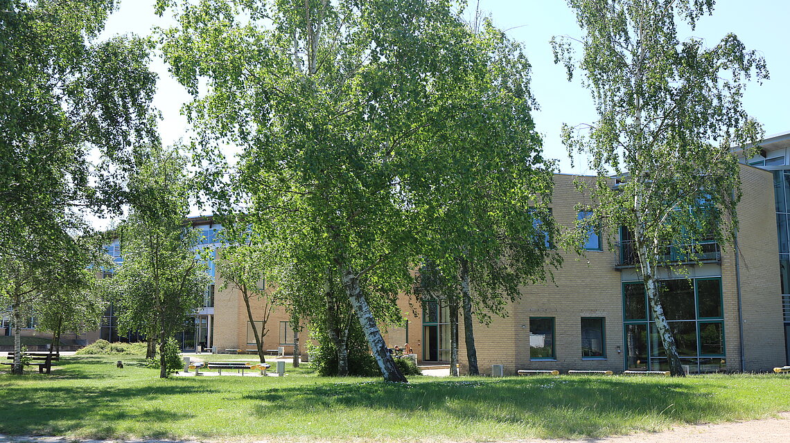 Bild von Kooperative Gesamtschule mit gymnasialer Oberstufe, Friedland
