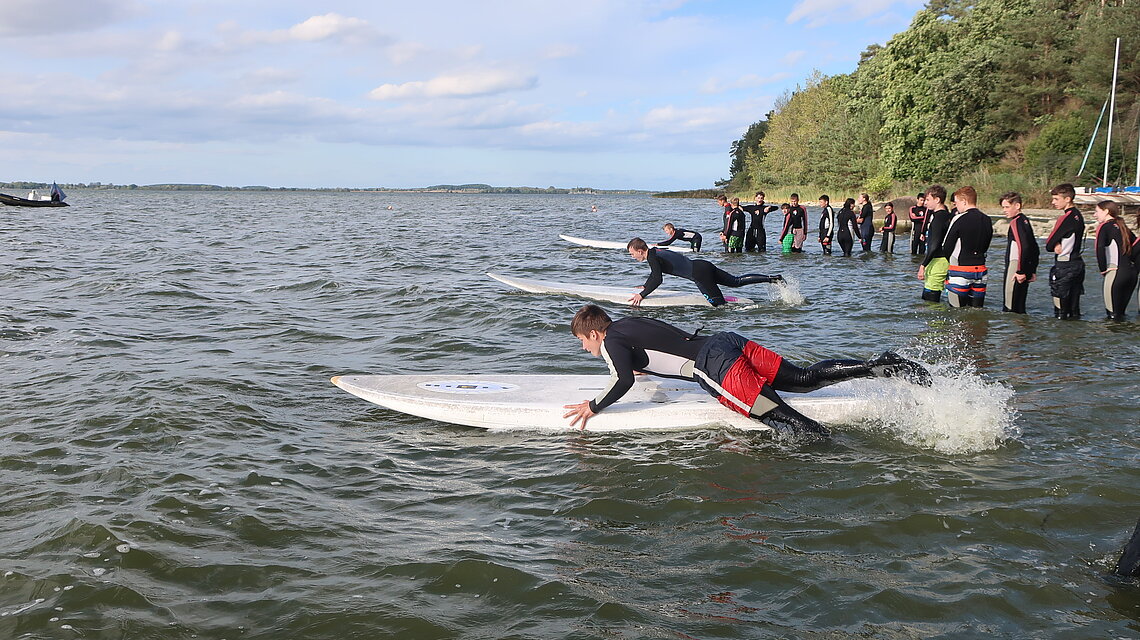 Bild von Integrierte Gesamtschule "Erwin Fischer" Greifswald