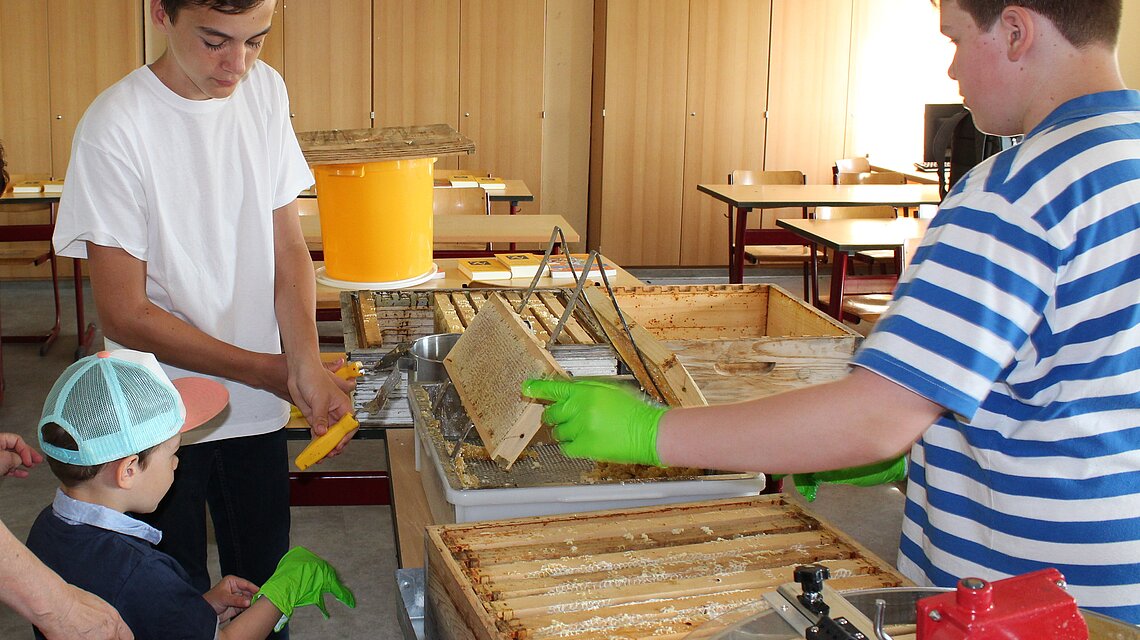 Bild von Regionale Schule "An der Prohner Wiek" Prohn