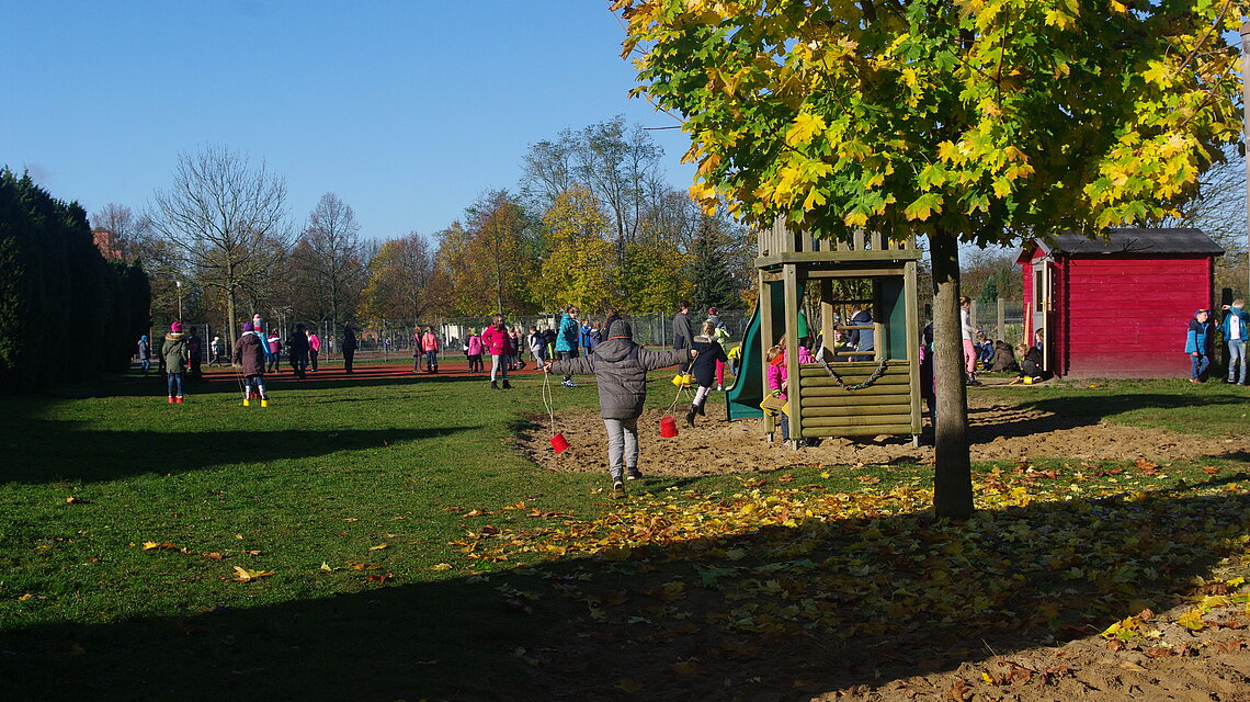 Bild von Grundschule Lübz