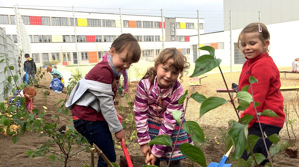 Bild von Grundschule mit schulartunabhängiger Orientierungsstufe "Schweriner Nordlichter"