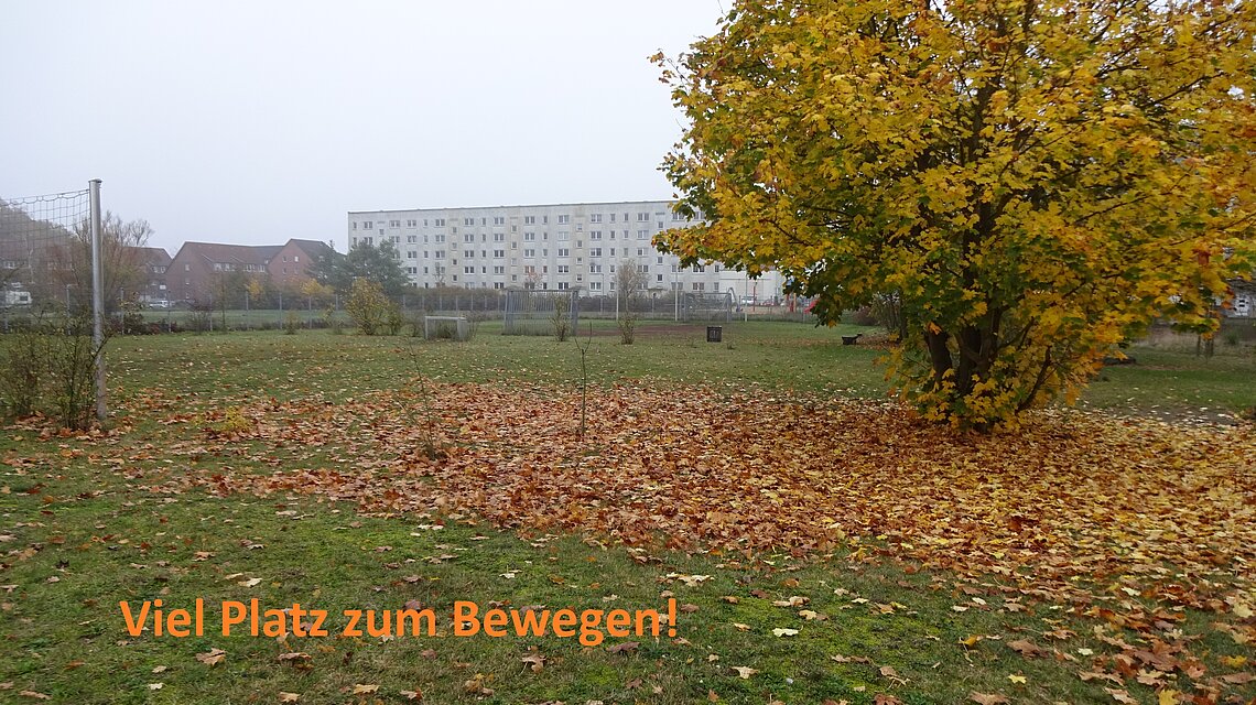 Bild von Regionale Schule "Karl-Scharfenberg-Schule", Neustadt-Glewe
