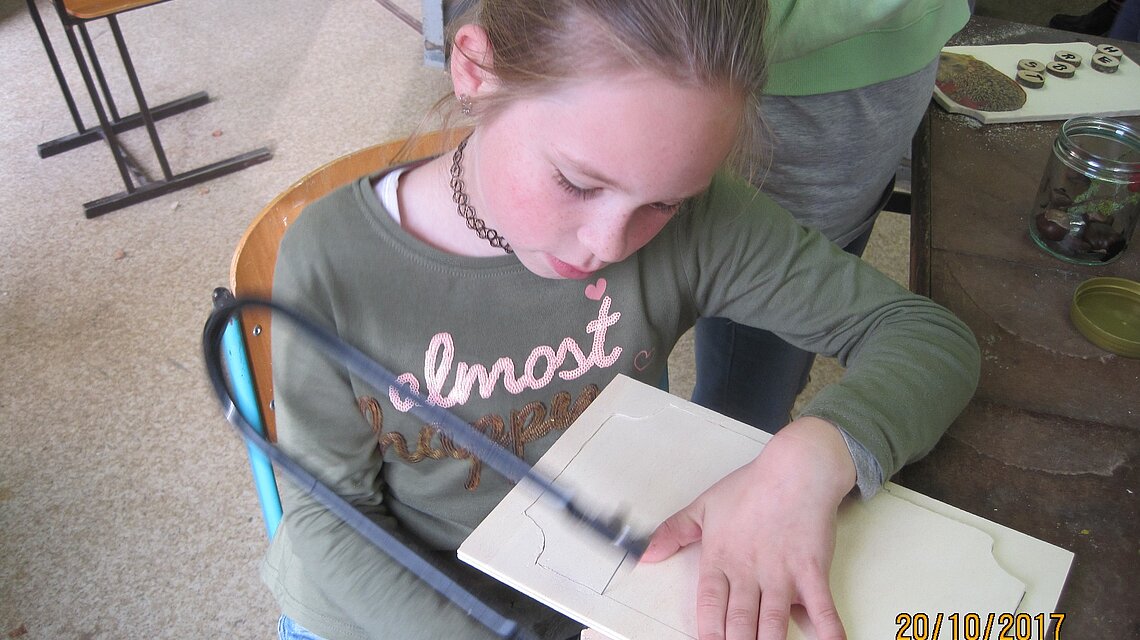 Bild von Grundschule Burow