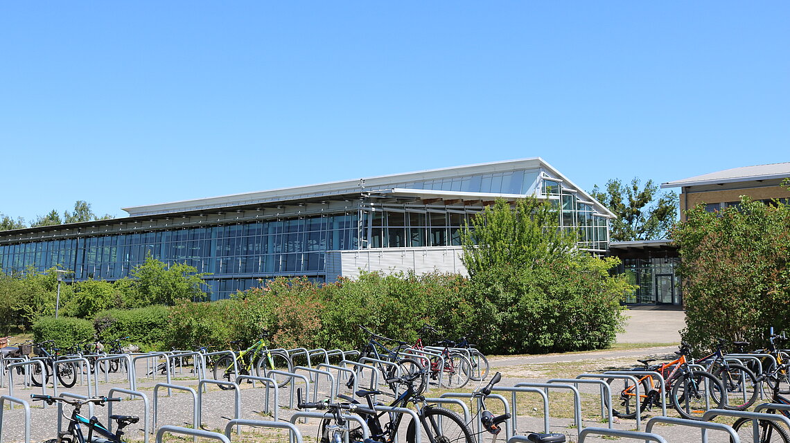 Bild von Kooperative Gesamtschule mit gymnasialer Oberstufe, Friedland