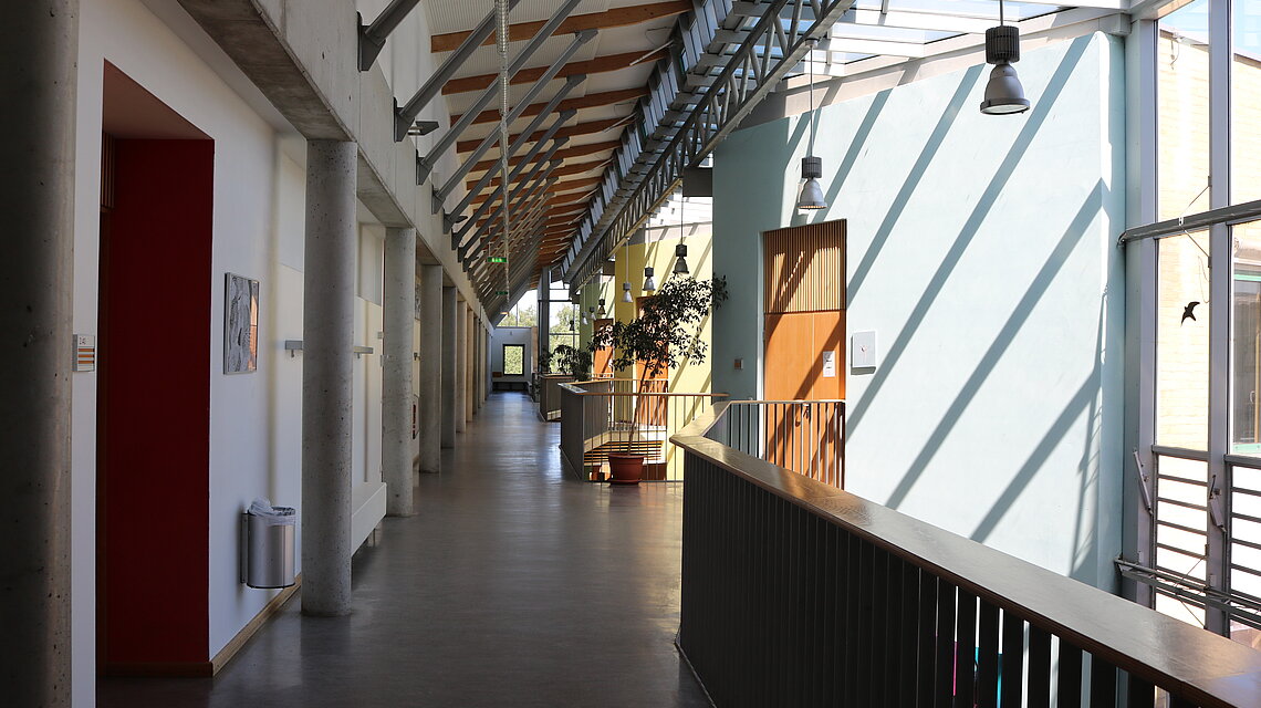Bild von Kooperative Gesamtschule mit gymnasialer Oberstufe, Friedland