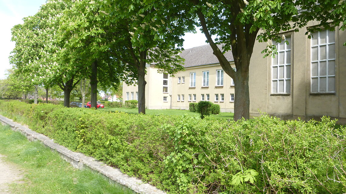 Bild von Regionale Schule mit Grundschule "Eldetalschule", Domsühl