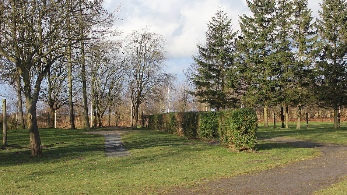 Bild von Grundschule "Thomas Müntzer" Lüdershagen