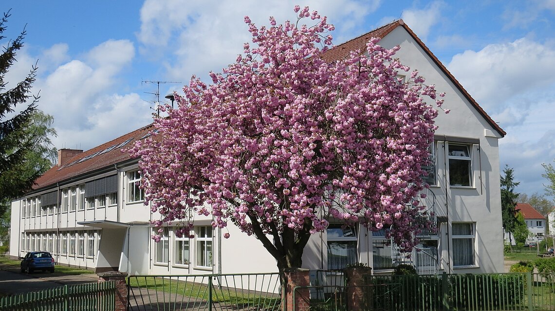 Bild von Regionale Schule mit Grundschule Malliß