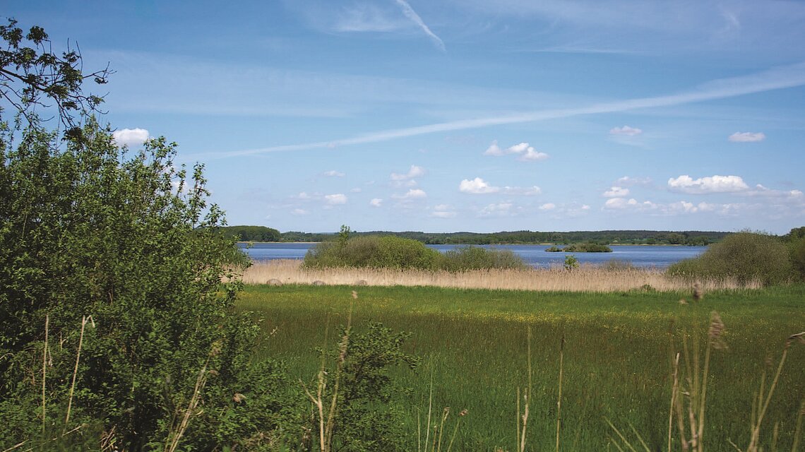 Bild von Schule mit den Förderschwerpunkten Lernen und geistige Entwicklung Sternberg