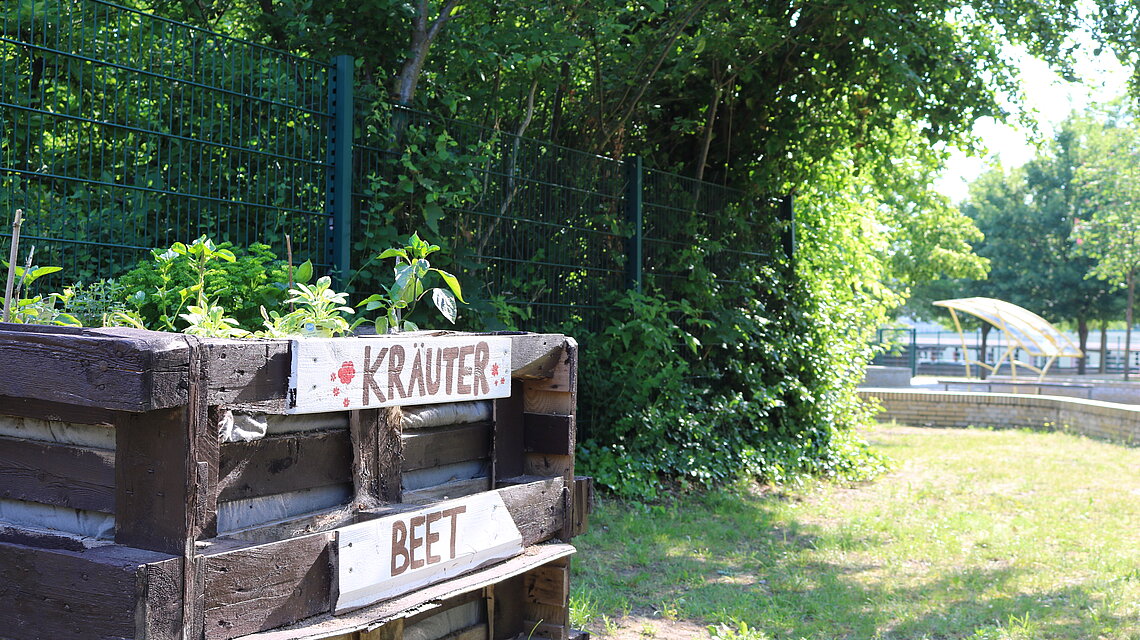 Bild von Regionale Schule "Albert Einstein" Torgelow