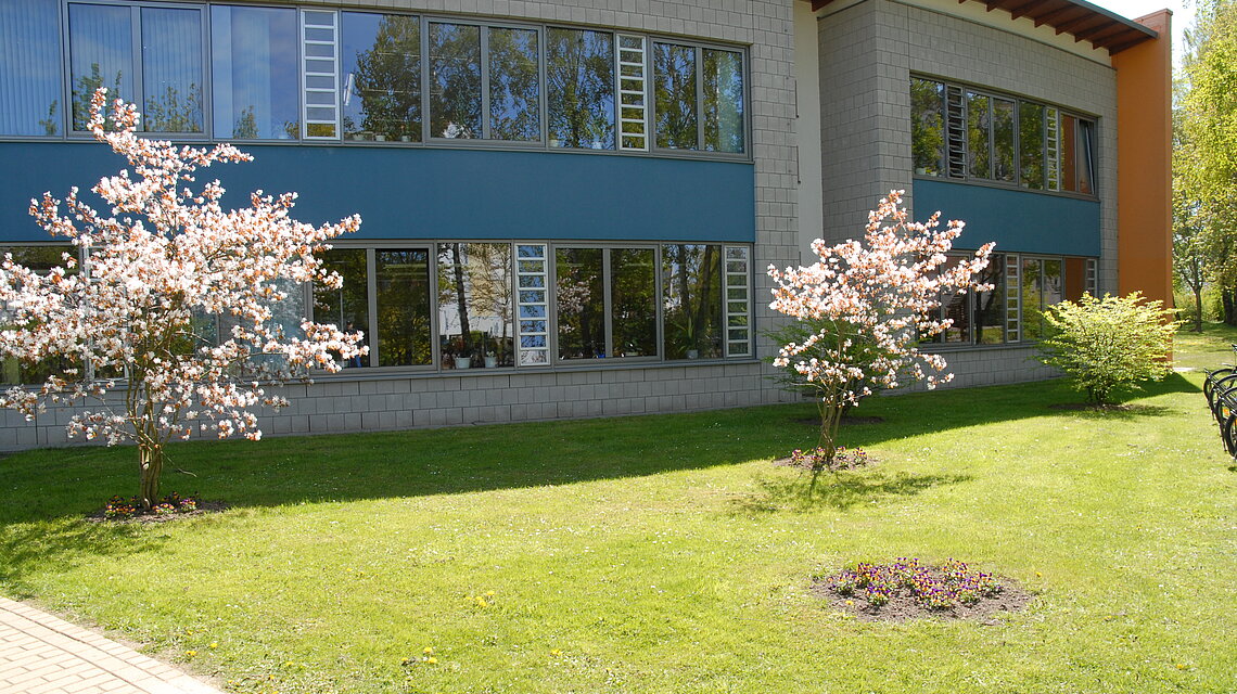 Bild von Grundschule "Dr. Theodor Neubauer" Grimmen