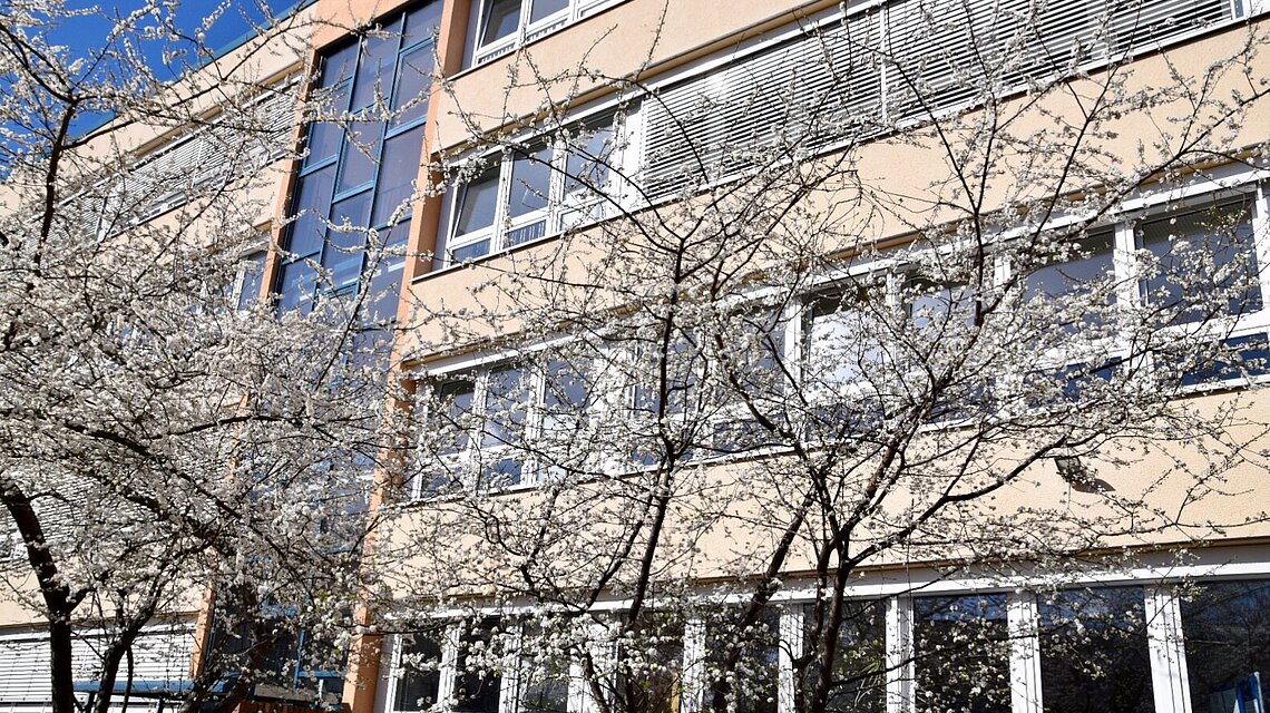 Bild von Berufliche Schule der Hanse- und Universitätsstadt Rostock -Wirtschaft-