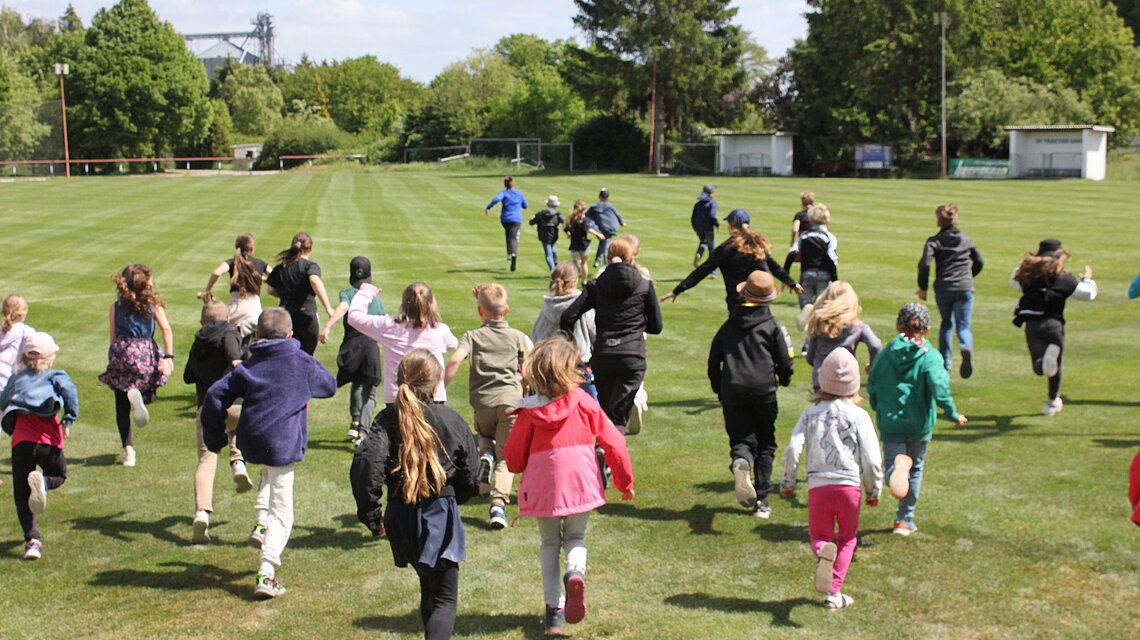 Bild von Grundschule Sarow