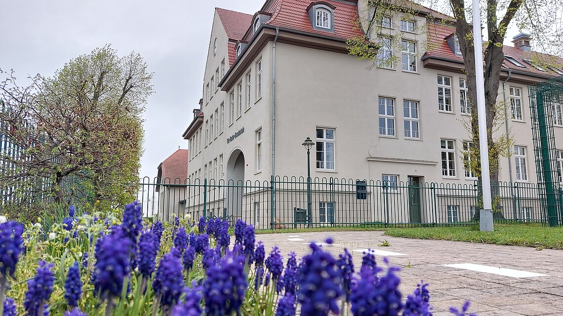 Bild von Fritz-Reuter-Grundschule, Stavenhagen