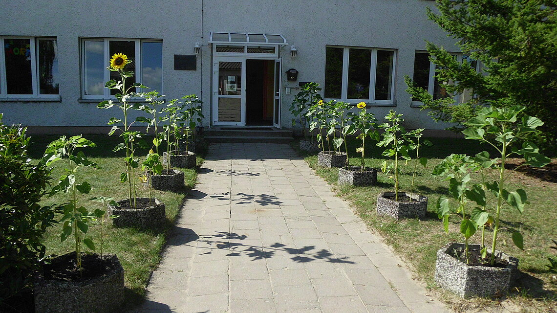 Bild von Grundschule Leopoldshagen