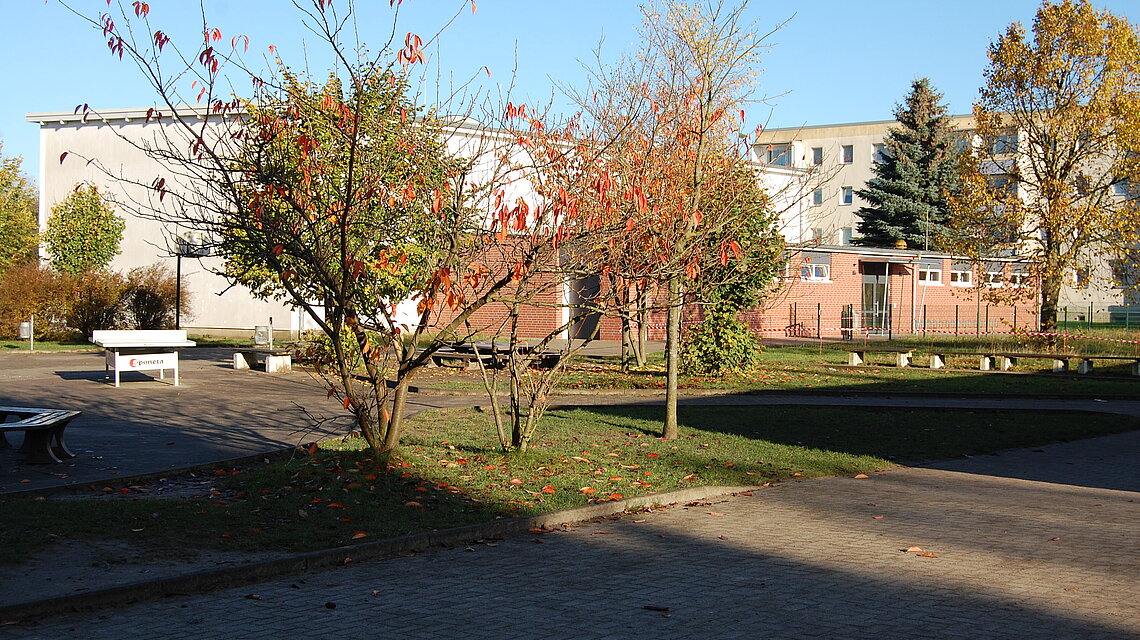 Bild von Regionale Schule mit Grundschule Schönberg