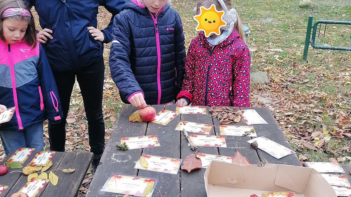 Bild von Grundschule Stadt Usedom