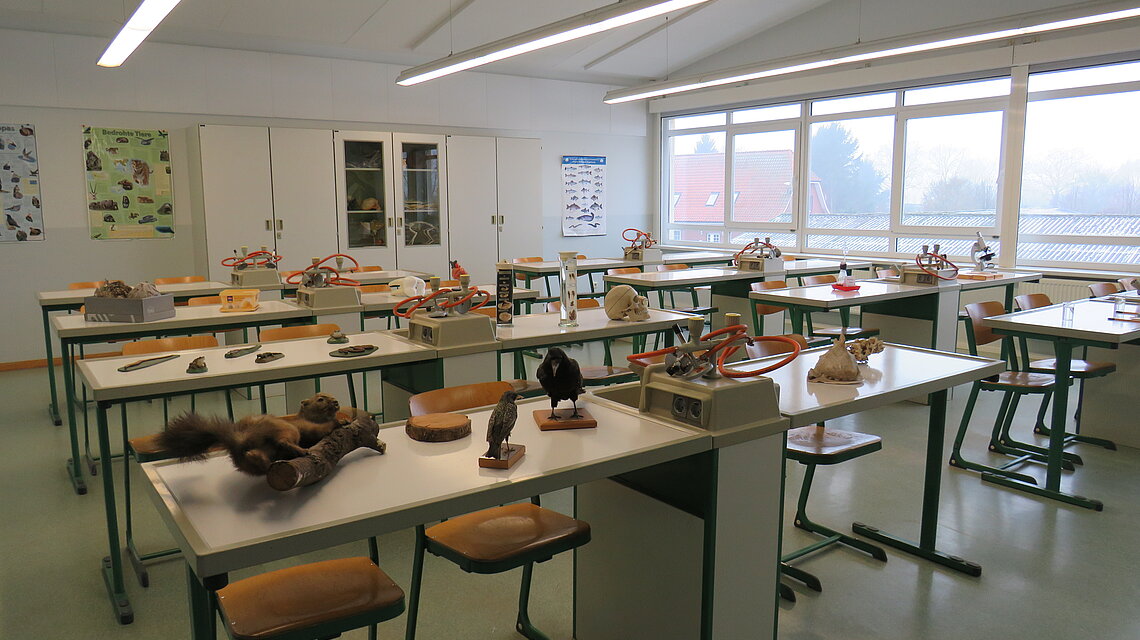 Bild von Regionale Schule mit Grundschule Proseken