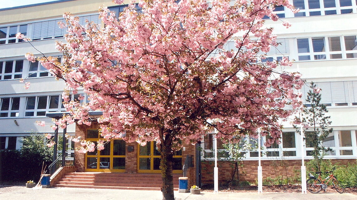 Bild von Berufliche Schule "Alexander Schmorell" am Klinikum Südstadt und der Hanse- und Universitätsstadt Rostock