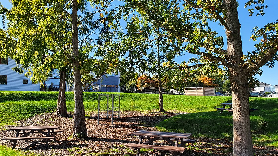 Bild von Grundschule Sanitz