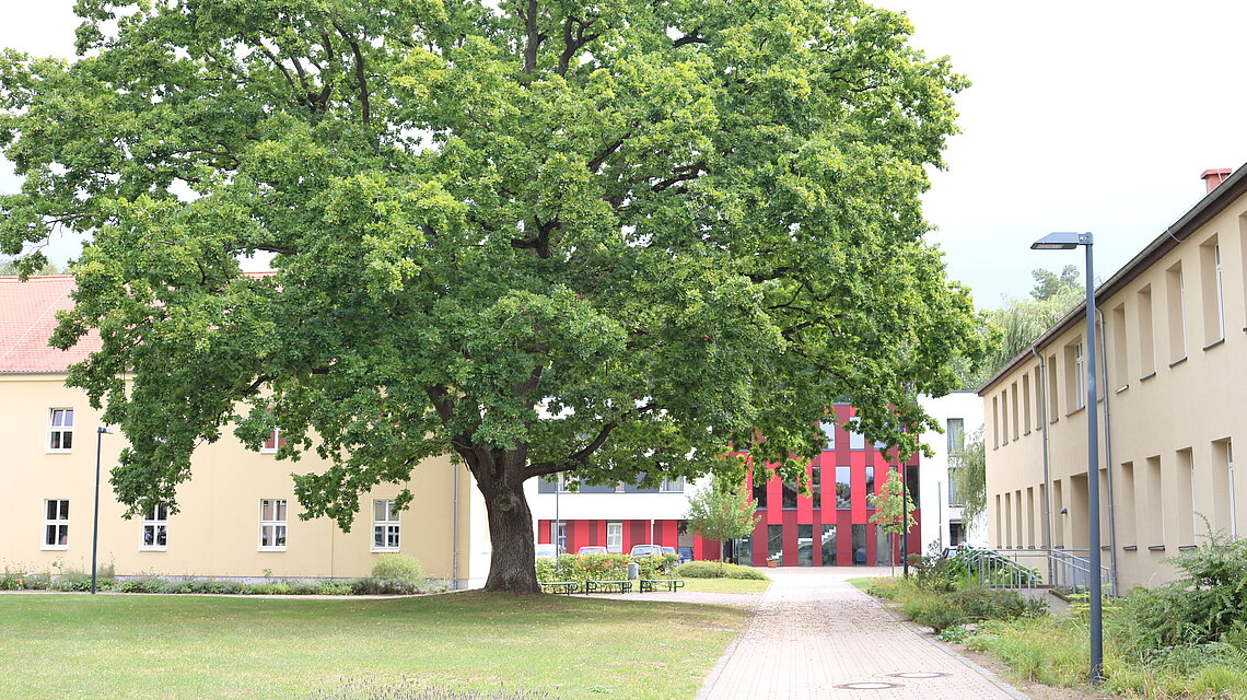 Bild von Regionales Berufliches Bildungszentrum des Landkreises Rostock