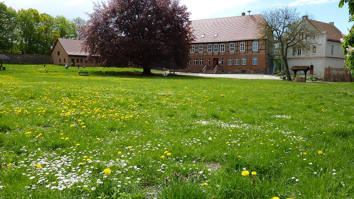 Bild von Grundschule Wredenhagen