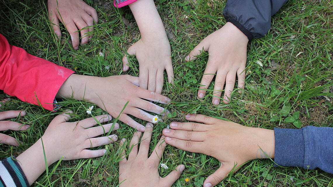 Bild von Grundschule Sarow