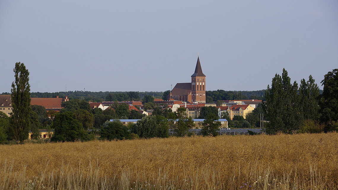 Bild von Grundschule Ueckertal, Pasewalk