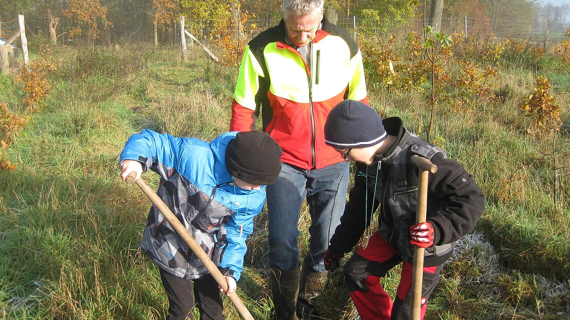 Bild von Grundschule Wredenhagen